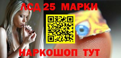 Альфа ПВП Новодвинск