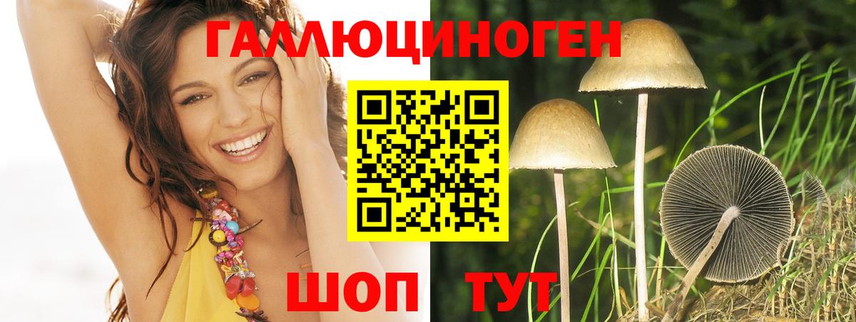 Славянск-на-Кубани  Галлюциногенные грибы MAGIC MUSHROOMS  Вход с VPN 