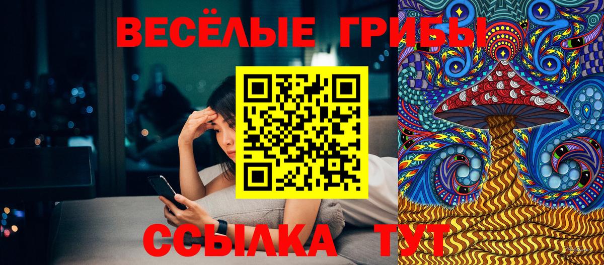 Псилоцибиновые грибы Magic Shrooms Славянск-на-Кубани